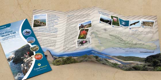 cape nature brochures