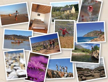 cape nature photography