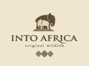 bright brown design into africa logo