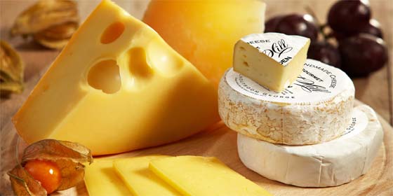 mysthill range of cheeses