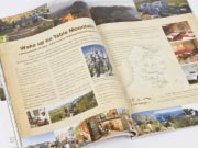 san parks magazine ad