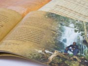san parks brochure